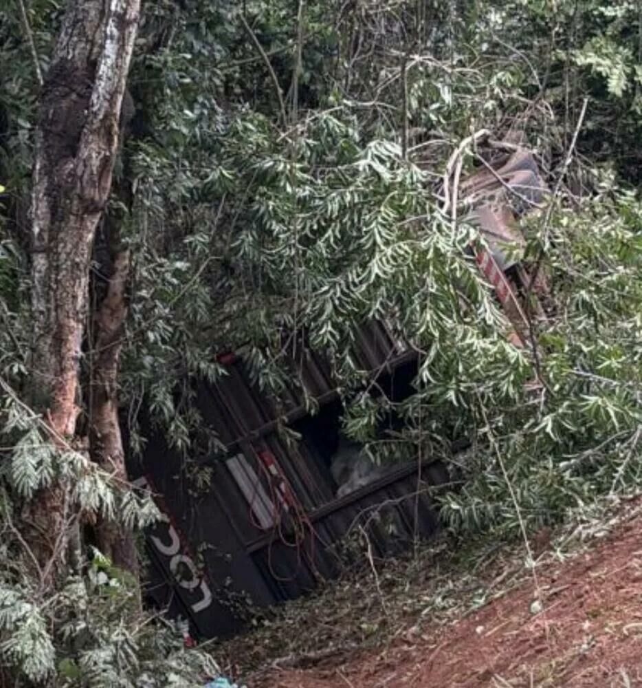 Imagem de compartilhamento para o artigo Carreta boiadeira cai em ribanceira na Serra Sucuriú em Paraíso das Águas e motorista fica gravemente ferido da MS Todo dia